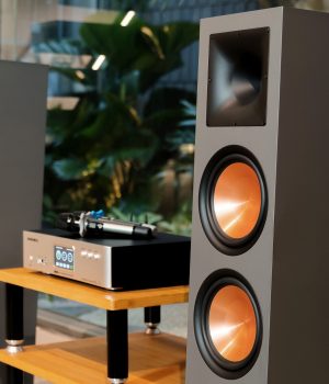 Loa_Paramax_Euro_8_Luxury_Charcoal_Gray_1 (3)