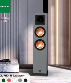 Loa_Paramax_Euro_8_Luxury_Charcoal_Gray_1 (4)