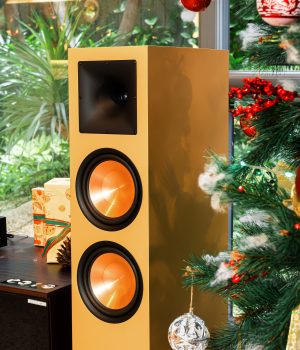 Loa_Paramax_Euro_8_Luxury_Pale_Gold_1 (3)