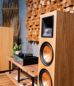 PARAMAX_EURO_8_Classic_English_Oak (6)