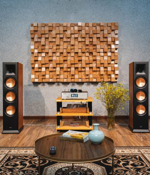 PARAMAX_EURO__803_Limited_Calvados_and_EURO_A700