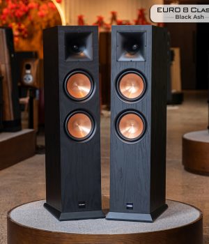 PARAMX_EURO_8_Classic_Black_Ash (2)