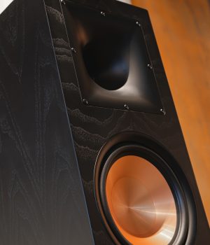 PARAMX_EURO_8_Classic_Black_Ash (3)