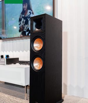 PARAMX_EURO_8_Classic_Black_Ash (5)