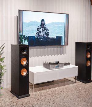 PARAMX_EURO_8_Classic_Black_Ash (6)