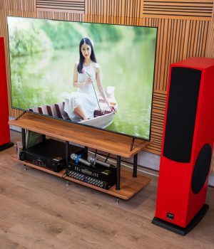 Paramax_D88_Luxury_Racing_red_2 (2)