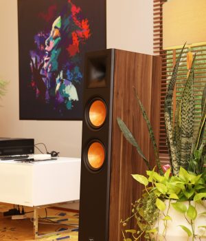 Paramax_Euro8_Limited_walnut_1