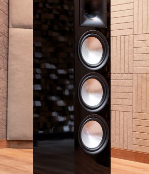 Paramax_Euro_803_Special_Edition_Obsidian_Black (2)