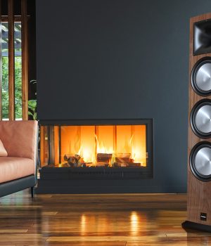 Loa nghe nhạc - karaoke Hifi PARAMAX EURO 803 Special Edition