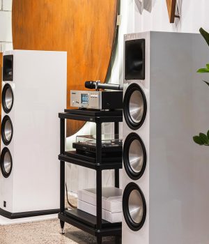 Paramax_Euro_803_special_edition_cream_white (5)