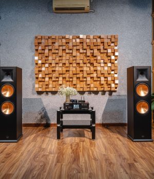 Paramax_euro1002_limited_lifestyle (2)