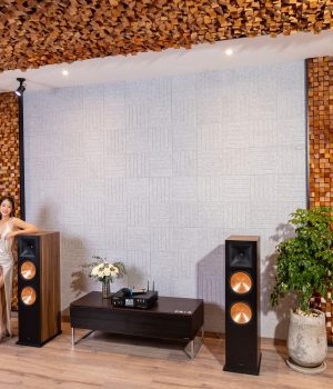 Paramax_euro1002_limited_lifestyle (5)