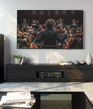 Loa karaoke nghe nhạc cao cấp Paramax Euro 1200 Limited